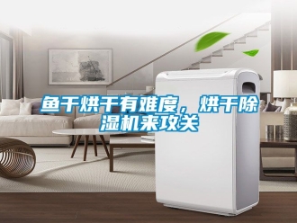 行業新聞魚干烘干有難度，烘干除濕機來攻關