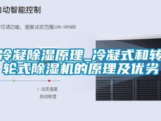 常見問題冷凝除濕原理_冷凝式和轉輪式除濕機的原理及優劣