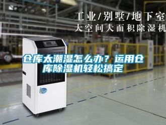 常見問題倉庫太潮濕怎么辦？運用倉庫除濕機輕松搞定