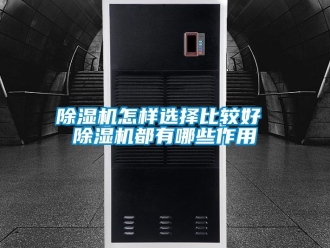 行業新聞除濕機怎樣選擇比較好 除濕機都有哪些作用