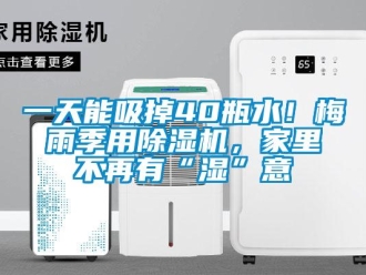 行業新聞一天能吸掉40瓶水！梅雨季用除濕機，家里不再有“濕”意