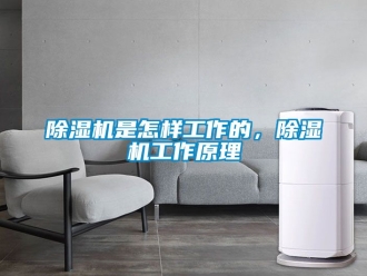 行業(yè)新聞除濕機是怎樣工作的，除濕機工作原理