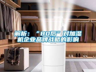 行業新聞解析：“80后”對加濕機企業品牌戰略的影響