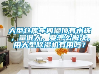 企業新聞大型倉庫車間棚頂有水珠，量很大，要怎么解決，用大型除濕機有用嗎？