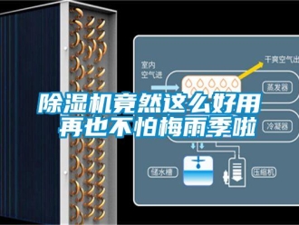 常見問題除濕機竟然這么好用 再也不怕梅雨季啦