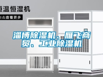 常見問題淄博除濕機、雁飛商貿、工業(yè)除濕機