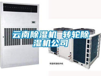 常見問(wèn)題云南除濕機(jī) 轉(zhuǎn)輪除濕機(jī)公司