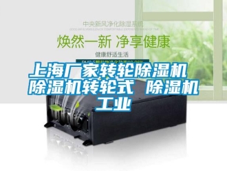 企業(yè)新聞上海廠家轉(zhuǎn)輪除濕機 除濕機轉(zhuǎn)輪式 除濕機工業(yè)