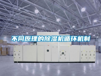 企業新聞不同原理的除濕機循環機制