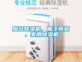 常見(jiàn)問(wèn)題煙臺(tái)除濕機(jī)、雁飛商貿(mào)、家用除濕機(jī)