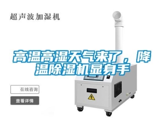 企業新聞高溫高濕天氣來了，降溫除濕機顯身手