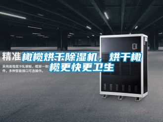 行業新聞橄欖烘干除濕機，烘干橄欖更快更衛生