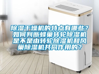 常見問題除濕干燥機的特點有哪些？如何判斷蜂巢轉輪除濕機是不是由轉輪除濕機和風巢除濕機共同作用的？
