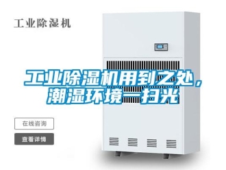 企業(yè)新聞工業(yè)除濕機(jī)用到之處，潮濕環(huán)境一掃光