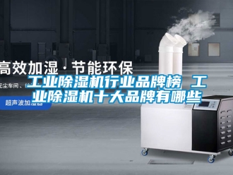 常見問題工業(yè)除濕機行業(yè)品牌榜 工業(yè)除濕機十大品牌有哪些