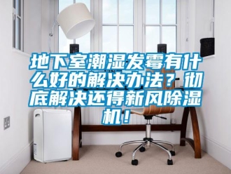 常見(jiàn)問(wèn)題地下室潮濕發(fā)霉有什么好的解決辦法？徹底解決還得新風(fēng)除濕機(jī)！