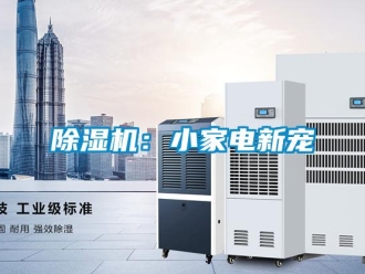 常見問題除濕機：小家電新寵