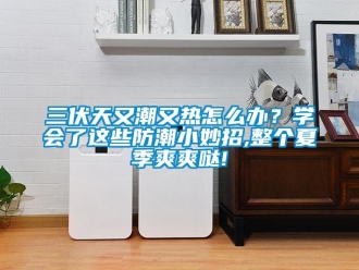 常見(jiàn)問(wèn)題三伏天又潮又熱怎么辦？學(xué)會(huì)了這些防潮小妙招,整個(gè)夏季爽爽噠!