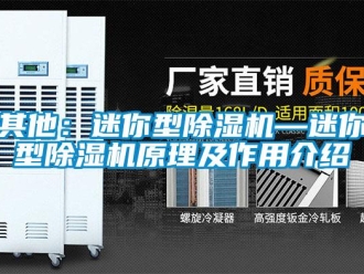 行業(yè)新聞其他：迷你型除濕機(jī)—迷你型除濕機(jī)原理及作用介紹