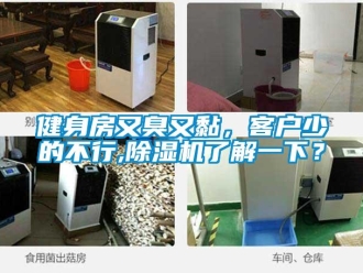 行業新聞健身房又臭又黏，客戶少的不行,除濕機了解一下？