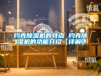 行業新聞約克除濕機的特點 約克除濕機的功能介紹【詳解】