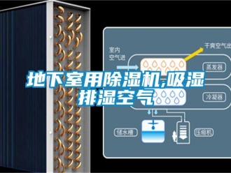 行業新聞地下室用除濕機,吸濕排濕空氣