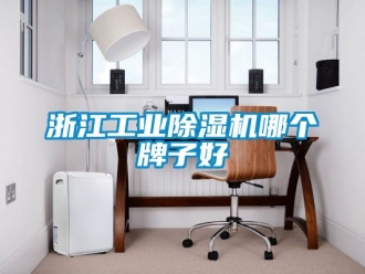 常見問題浙江工業除濕機哪個牌子好