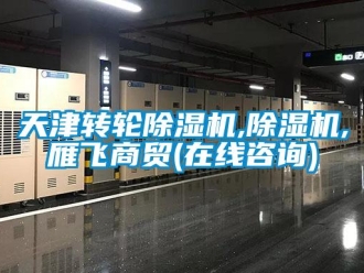 常見問題天津轉(zhuǎn)輪除濕機,除濕機,雁飛商貿(mào)(在線咨詢)