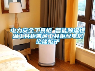 知識百科電力安全工具柜 智能除濕恒溫工具柜普通工具柜配電房絕緣柜子