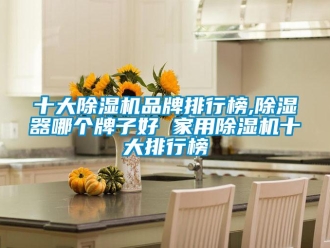 企業新聞十大除濕機品牌排行榜,除濕器哪個牌子好 家用除濕機十大排行榜