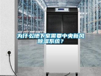 行業(yè)新聞為什么地下室需要中央新風(fēng)除濕系統(tǒng)？