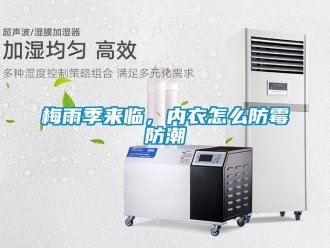 常見問題梅雨季來臨，內衣怎么防霉防潮