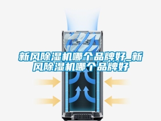 常見問題新風除濕機哪個品牌好_新風除濕機哪個品牌好