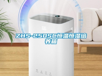 常見問題ZHS-250SC恒溫恒濕培養(yǎng)箱