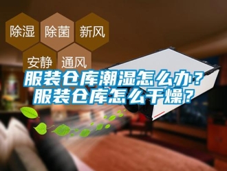 常見問題服裝倉庫潮濕怎么辦？服裝倉庫怎么干燥？