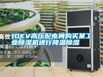 常見問題10KV高壓配電間購買某工業除濕機進行降溫除濕