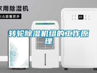 知識百科轉輪除濕機組的工作原理