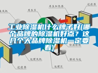 常見問(wèn)題工業(yè)除濕機(jī)什么牌子好(哪個(gè)品牌的除濕機(jī)好點(diǎn)？這幾個(gè)大品牌除濕機(jī)一定要看)