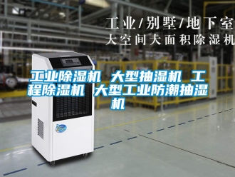 常見問題工業除濕機 大型抽濕機 工程除濕機 大型工業防潮抽濕機