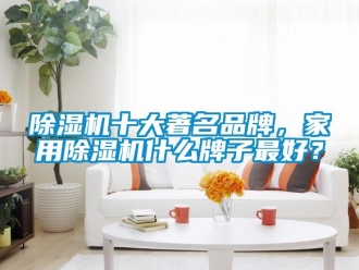 企業新聞除濕機十大著名品牌，家用除濕機什么牌子最好？