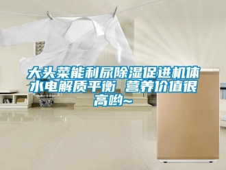 行業(yè)新聞大頭菜能利尿除濕促進(jìn)機(jī)體水電解質(zhì)平衡 營(yíng)養(yǎng)價(jià)值很高喲~