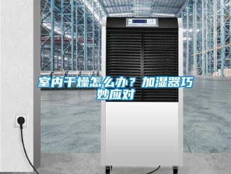 常見問題室內(nèi)干燥怎么辦？加濕器巧妙應對