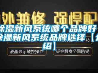 行業新聞除濕新風系統哪個品牌好 除濕新風系統品牌選擇【介紹】
