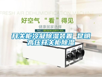 行業新聞開關柜冷凝除濕裝置 昆明高壓開關柜除濕