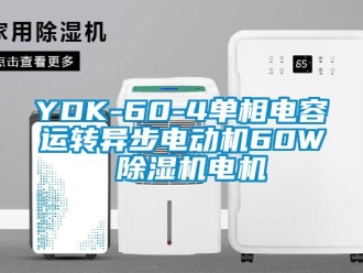 企業新聞YDK-60-4單相電容運轉異步電動機60W 除濕機電機