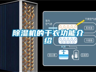 企業新聞除濕機的干衣功能介紹