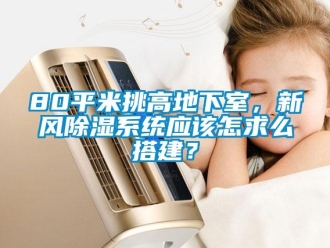 企業新聞80平米挑高地下室，新風除濕系統應該怎求么搭建？