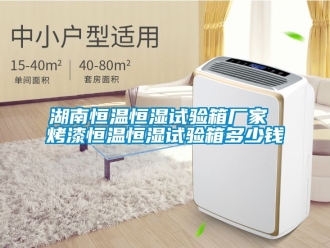 知識百科湖南恒溫恒濕試驗箱廠家 烤漆恒溫恒濕試驗箱多少錢