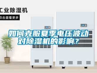 常見問題如何克服夏季電壓波動對除濕機的影響？