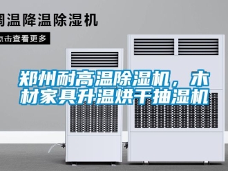 行業新聞鄭州耐高溫除濕機，木材家具升溫烘干抽濕機
